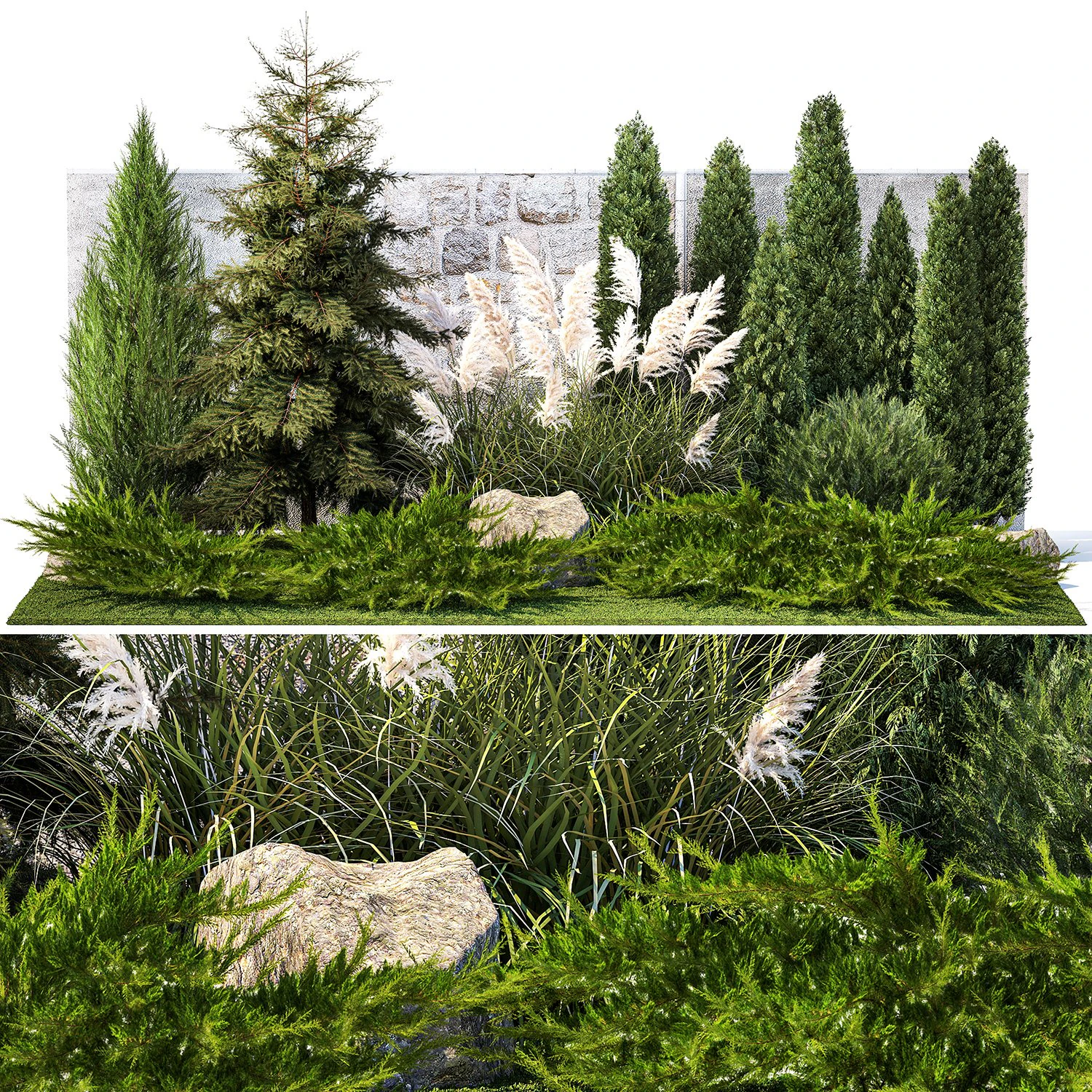 Garten mit Thuja-Zypresse und Pampasgras, Schilfgras 1383 3D Modell in Baum  461175 | 3DExport