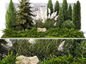 Garden with thuja cypress tree and pampas grass reed grass 1383 3D Model