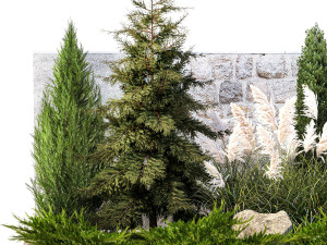 Garden with thuja cypress tree and pampas grass reed grass 1383 3D Model