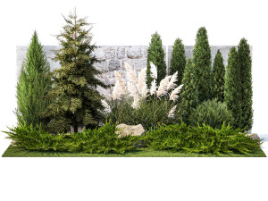 Garden with thuja cypress tree and pampas grass reed grass 1383 3D Model