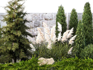 Garten mit Thuja-Zypresse und Pampasgras, Schilfgras 1383 3D Modell in Baum  461175 | 3DExport