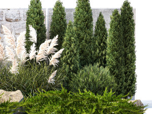 Garden with thuja cypress tree and pampas grass reed grass 1383 3D Model