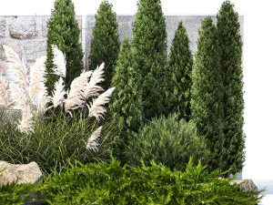 Garten mit Thuja-Zypresse und Pampasgras, Schilfgras 1383 3D Modell in Baum  461175 | 3DExport