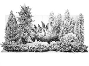 Garden with thuja cypress tree and pampas grass reed grass 1383 3D Model