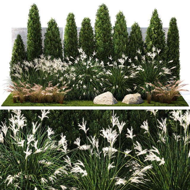 Garden with thuja cypress bushes feather grass Miscanthus grass 1384 Modelo 3D .c4d .max .obj .3ds .fbx .stl .blend 