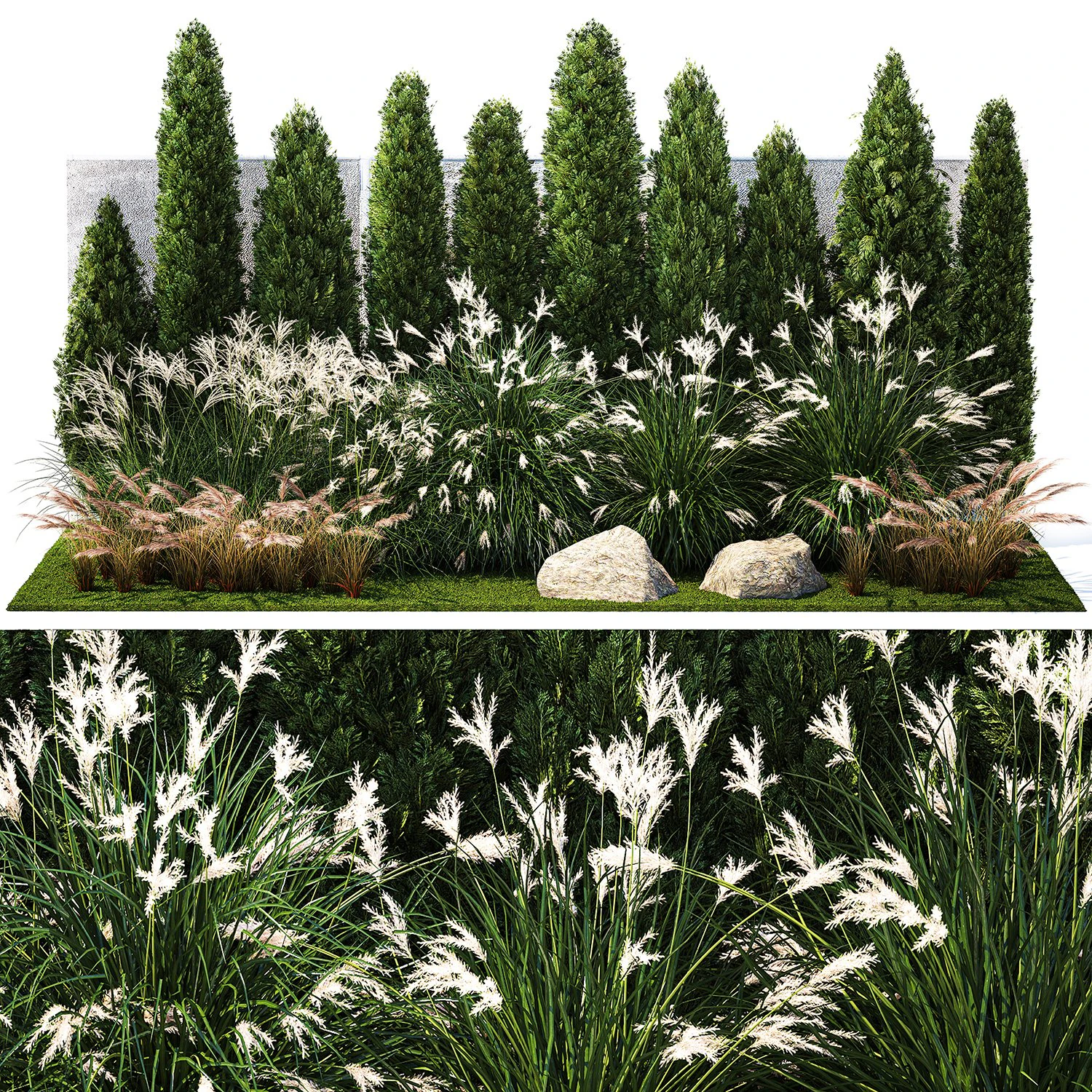 Garden with thuja cypress bushes feather grass Miscanthus grass 1384 3D Model .c4d .max .obj .3ds .fbx .stl .blend 