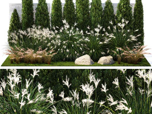 Jardin avec des cypr&egrave;s de thuya, de l'herbe &agrave; plumes, de l'herbe Miscanthus 1384 Modèle 3D