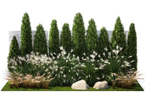 Garden with thuja cypress bushes feather grass Miscanthus grass 1384 3D Model