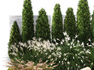 Garden with thuja cypress bushes feather grass Miscanthus grass 1384 Modelo 3D