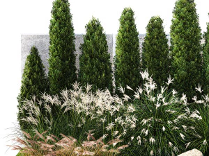 Garden with thuja cypress bushes feather grass Miscanthus grass 1384 3D Model