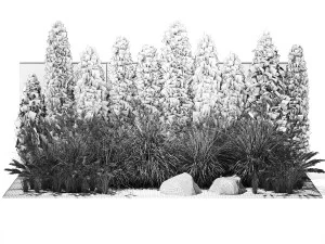 Garden with thuja cypress bushes feather grass Miscanthus grass 1384 3D Model
