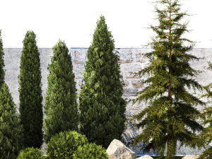 Garden with trees and bushes thuja cypress spruce and pine 1385 3D Модель