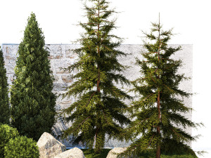 Garden with trees and bushes thuja cypress spruce and pine 1385 3D Модель