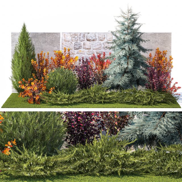 Garden trees thuja cypress spruce and Berberis pine 1386 3D-Modell .c4d .max .obj .3ds .fbx .stl .blend 