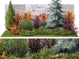 Garden trees thuja cypress spruce and Berberis pine 1386 3D Model
