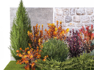 Garden trees thuja cypress spruce and Berberis pine 1386 3D-Modell