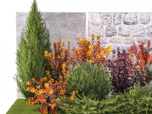 Garden trees thuja cypress spruce and Berberis pine 1386 3D Model