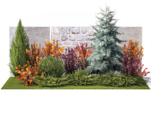 Garden trees thuja cypress spruce and Berberis pine 1386 3D-Modell