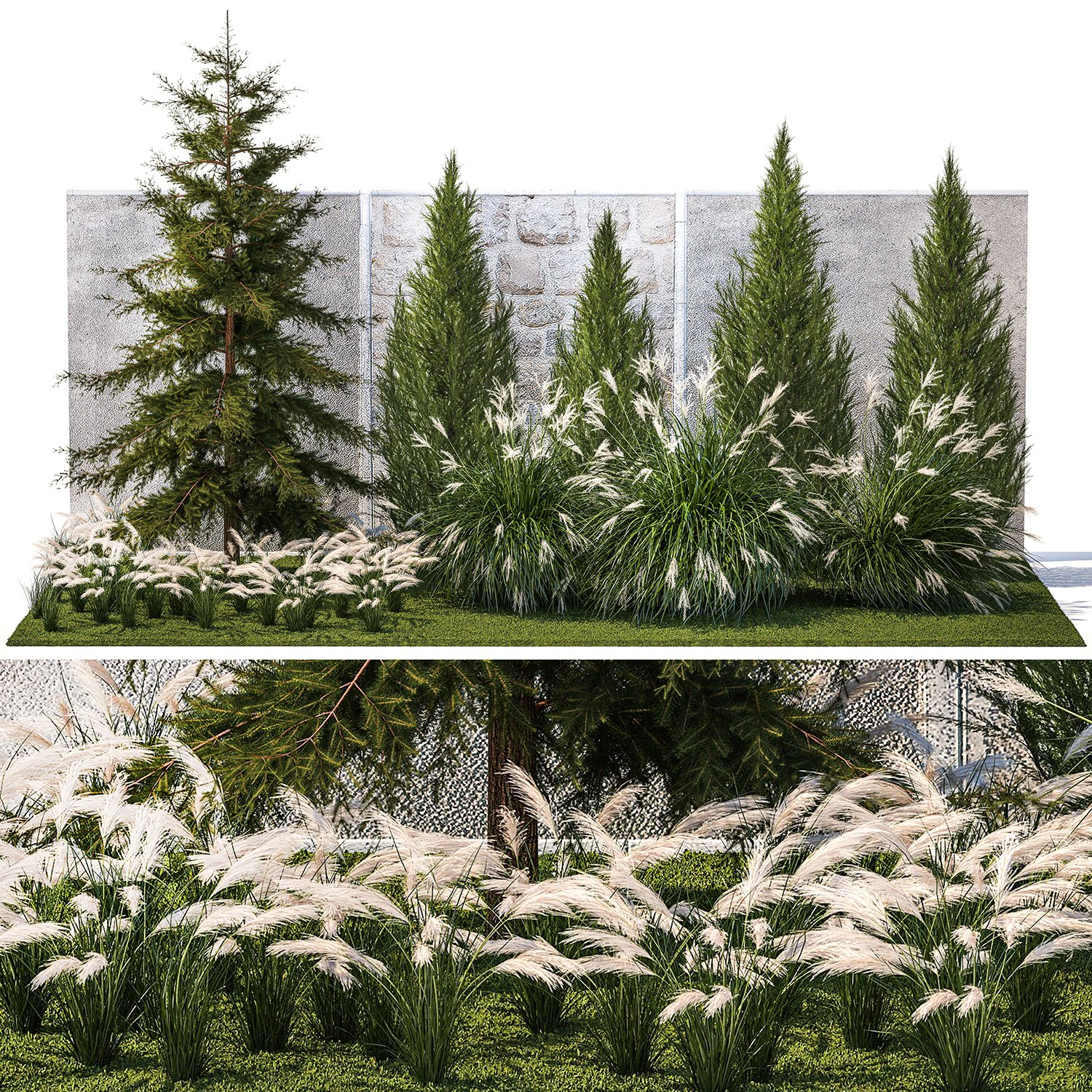 Garden trees thuja cypress spruce pine miscanthus 1387 3D Model .c4d .max .obj .3ds .fbx .stl .blend 