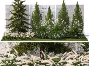 Garden trees thuja cypress spruce pine miscanthus 1387 3D Model