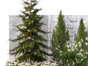 Garden trees thuja cypress spruce pine miscanthus 1387 3D Model