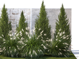 Garden trees thuja cypress spruce pine miscanthus 1387 Modèle 3D