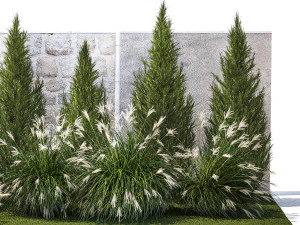 Garden trees thuja cypress spruce pine miscanthus 1387 3D Model