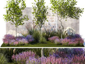 Garden with trees bushes lavender flowers feather grass 1388 3D Model