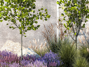 Garden with trees bushes lavender flowers feather grass 1388 3D Model