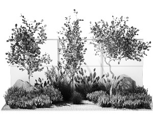 Garden with trees bushes lavender flowers feather grass 1388 3D Model