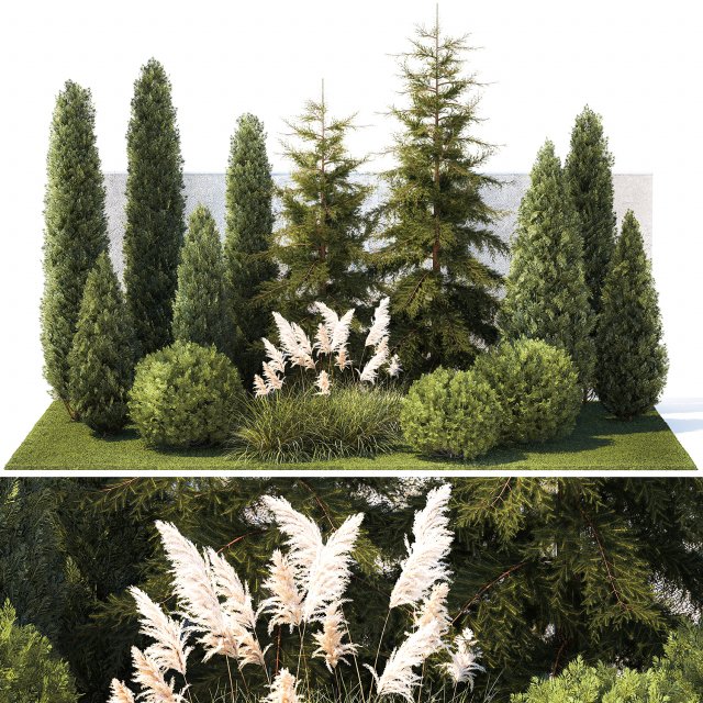 Garden with trees thuja cypress spruce Cortaderia 1388 3D Model .c4d .max .obj .3ds .fbx .stl .blend 