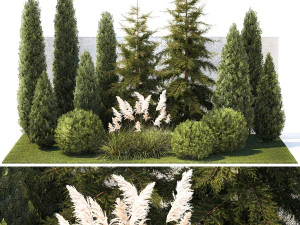 Jardin avec arbres thuya cypr&egrave;s &eacute;pic&eacute;a Cortaderia 1388 Modèle 3D
