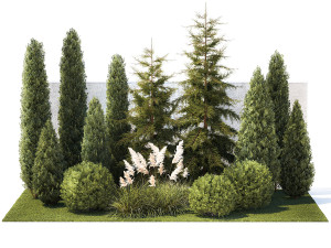 Garden with trees thuja cypress spruce Cortaderia 1388 3D Model