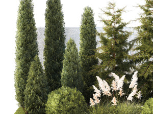 Garden with trees thuja cypress spruce Cortaderia 1388 3D Model