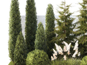 Garden with trees thuja cypress spruce Cortaderia 1388 3D Model
