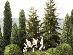 Garden with trees thuja cypress spruce Cortaderia 1388 3D Model