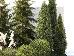 Garden with trees thuja cypress spruce Cortaderia 1388 3D Model