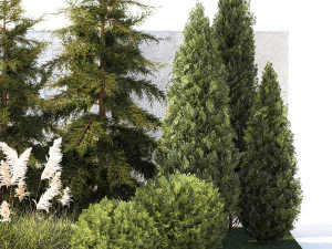 Garden with trees thuja cypress spruce Cortaderia 1388 3D Model