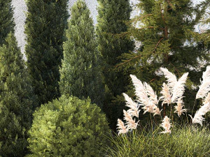 Garden with trees thuja cypress spruce Cortaderia 1388 3D Model