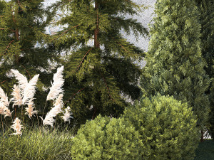Garden with trees thuja cypress spruce Cortaderia 1388 3D Model