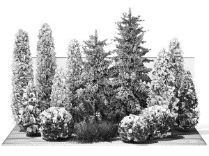 Garden with trees thuja cypress spruce Cortaderia 1388 3D Model
