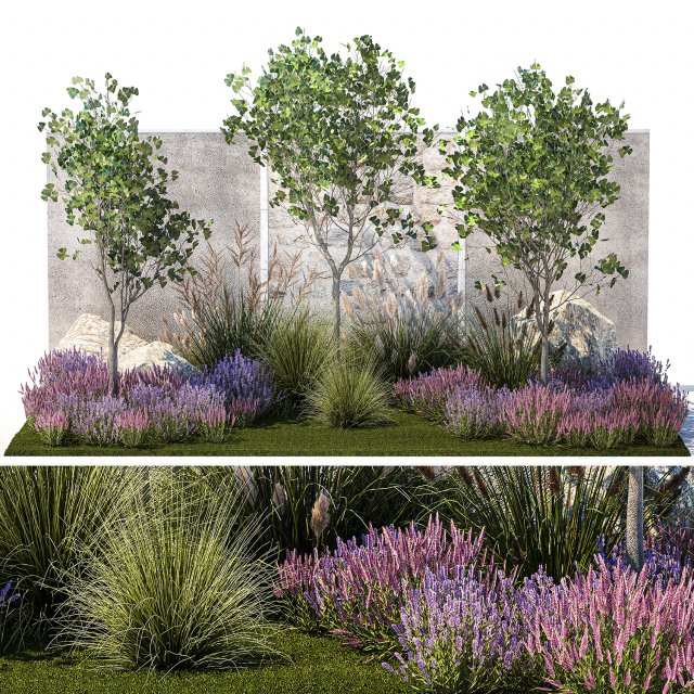 Garden with lavender bushes and Ginkgo biloba trees 1389 Model 3D .c4d .max .obj .3ds .fbx .stl .blend 