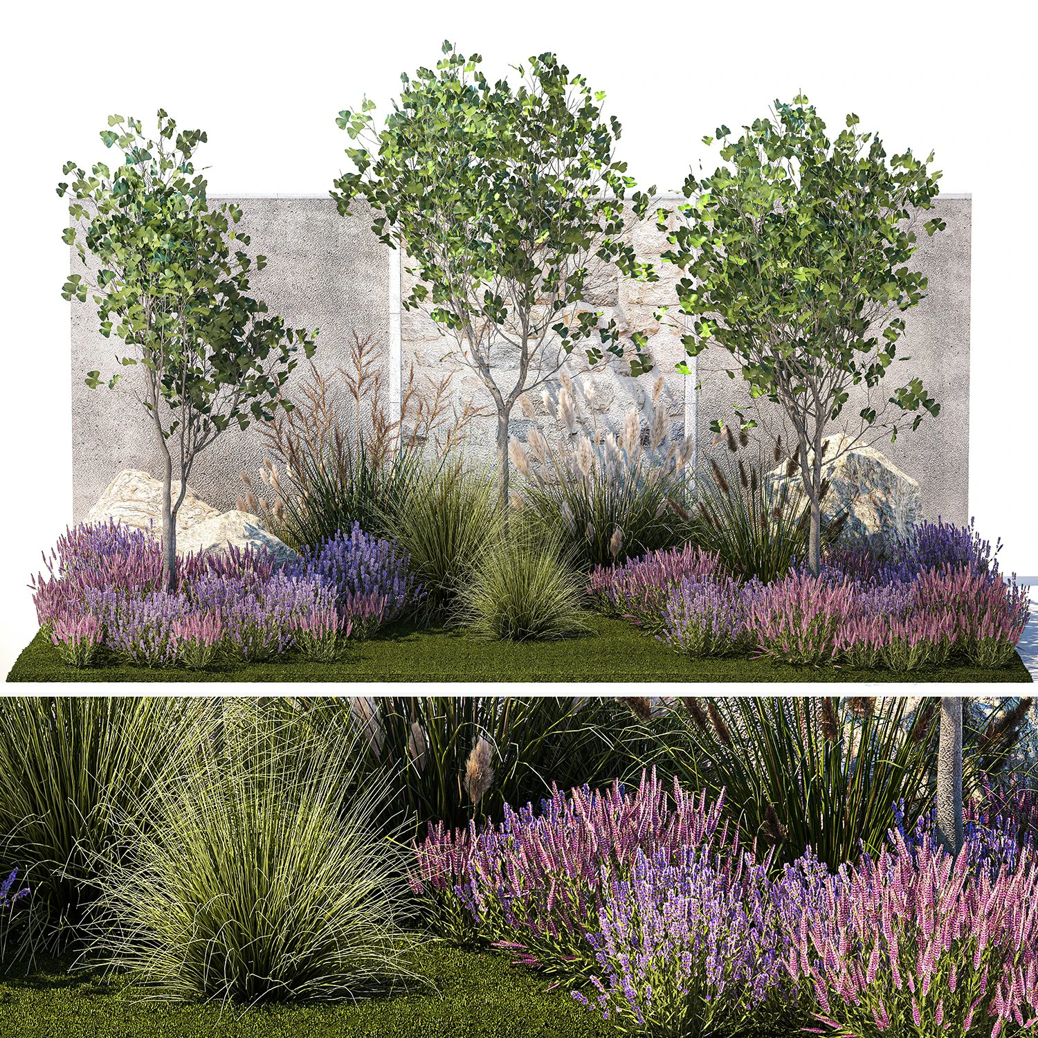 Jardim com arbustos de lavanda e &aacute;rvores de Ginkgo biloba 1389 Modelo 3D .c4d .max .obj .3ds .fbx .stl .blend 