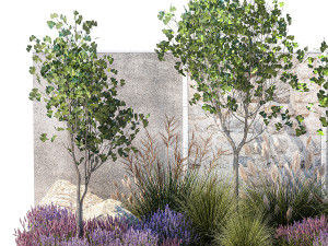 Garden with lavender bushes and Ginkgo biloba trees 1389 Model 3D