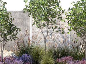 Garden with lavender bushes and Ginkgo biloba trees 1389 Model 3D