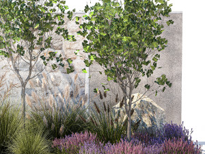 Garden with lavender bushes and Ginkgo biloba trees 1389 Model 3D