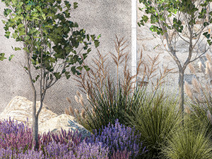 Garden with lavender bushes and Ginkgo biloba trees 1389 Model 3D