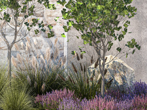 Garden with lavender bushes and Ginkgo biloba trees 1389 Model 3D