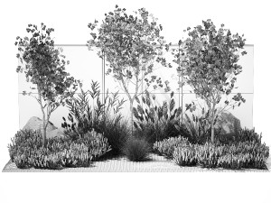 Garden with lavender bushes and Ginkgo biloba trees 1389 Model 3D