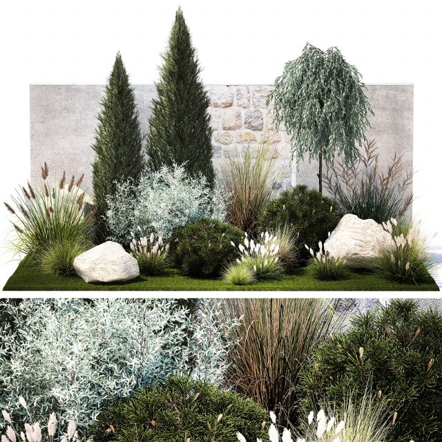 Garden with trees thuja pine bushes olive feather grass grass 1390 3D Model .c4d .max .obj .3ds .fbx .stl .blend 